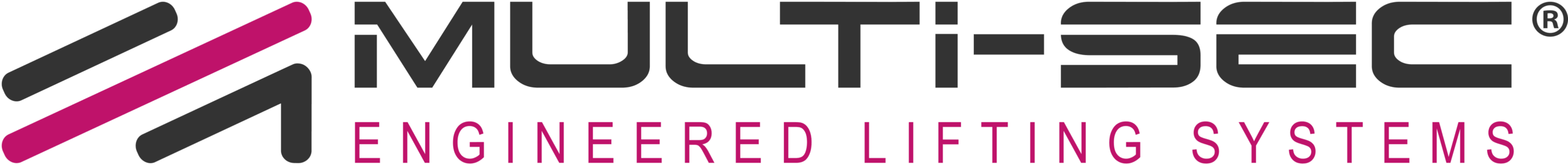 Multisec Logo